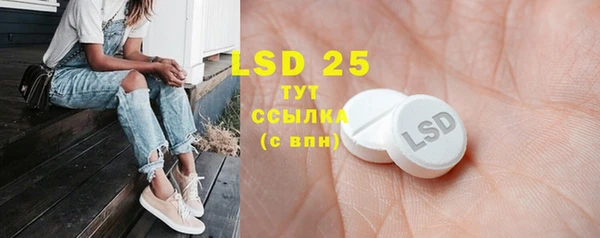 прущие грибы Абдулино