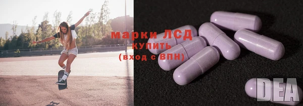 прущие грибы Абдулино