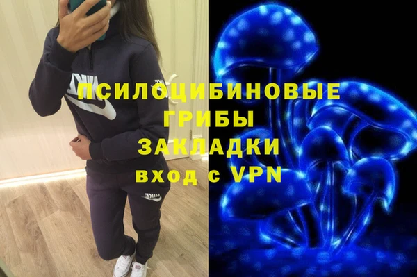 прущие грибы Абдулино