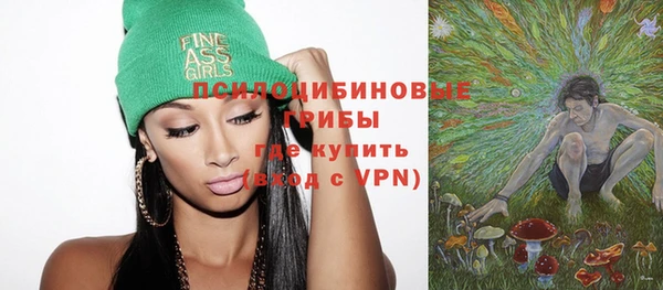 прущие грибы Абдулино