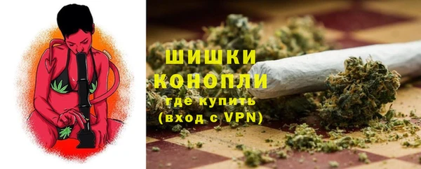 прущие грибы Абдулино