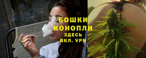 прущие грибы Абдулино