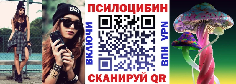 Псилоцибиновые грибы Psilocybe  где продают   Орёл 